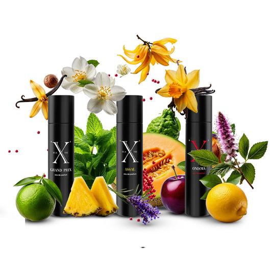 Xelavie Eau de Parfum